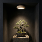 AlbaStone | Flush Mount Ceiling Light with Softly Rounded Design | Warm Glow for Inviting Spaces