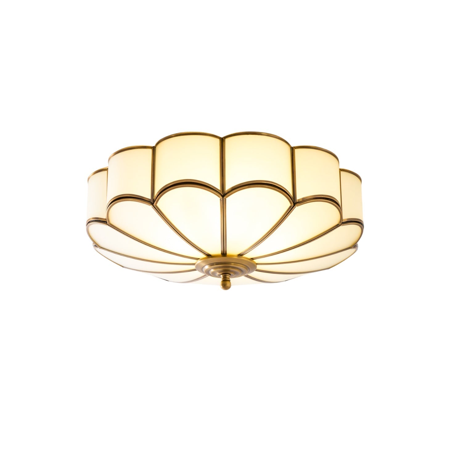 Elegant Floral Ceiling Light Fixture with Ambient Illumination for Modern Spaces