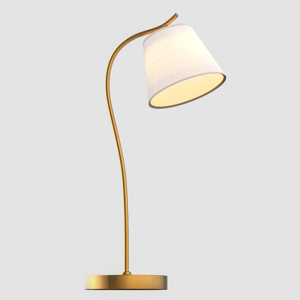 Elegant Lighting | Gooseneck Desk Lamp with Adjustable Cone Shade | Cozy Atmosphere for Home Office and Reading