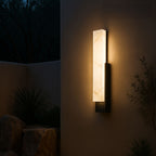 Elegant Outdoor Wall Lantern Light with Weather-Resistant Design | Stylish Sconce for Garden and Patio