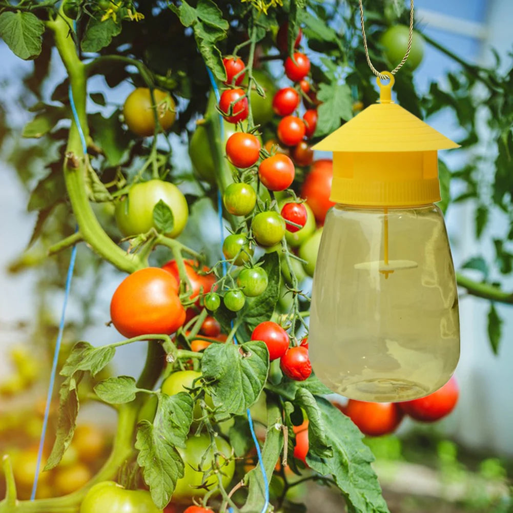 Garden Guardian | Fruit Fly Trap with Scent Lure | Reusable Outdoor Solution for Pest Control