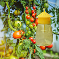 Garden Guardian | Fruit Fly Trap with Scent Lure | Reusable Outdoor Solution for Pest Control