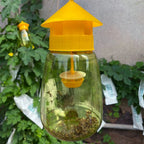 Garden Guardian | Fruit Fly Trap with Scent Lure | Reusable Outdoor Solution for Pest Control