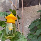 Garden Guardian | Fruit Fly Trap with Scent Lure | Reusable Outdoor Solution for Pest Control