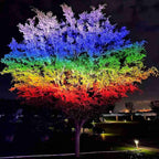 Tiixo | Waterproof RGB LED Outdoor Landscape Spot Lights with Color-Changing Effects | Versatile Lighting for Gardens and Patios
