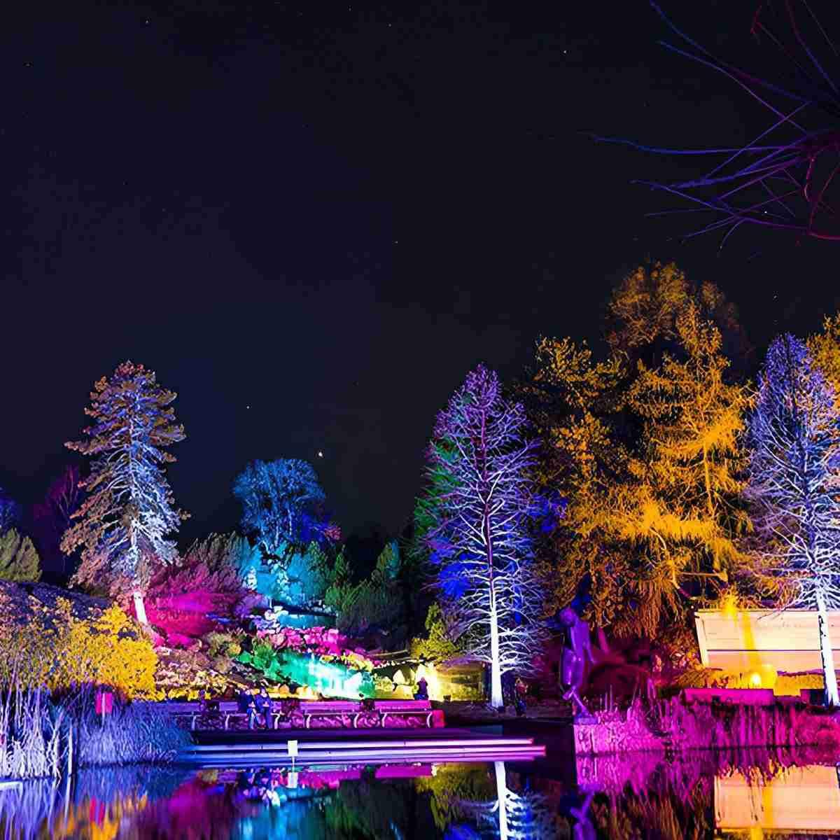 Tiixo | Waterproof RGB LED Outdoor Landscape Spot Lights with Color-Changing Effects | Versatile Lighting for Gardens and Patios