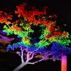 Tiixo | Waterproof RGB LED Outdoor Landscape Spot Lights with Color-Changing Effects | Versatile Lighting for Gardens and Patios