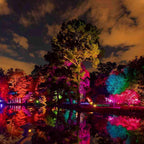 Tiixo | Waterproof RGB LED Outdoor Landscape Spot Lights with Color-Changing Effects | Versatile Lighting for Gardens and Patios